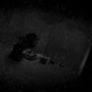 Meet your Posher, The